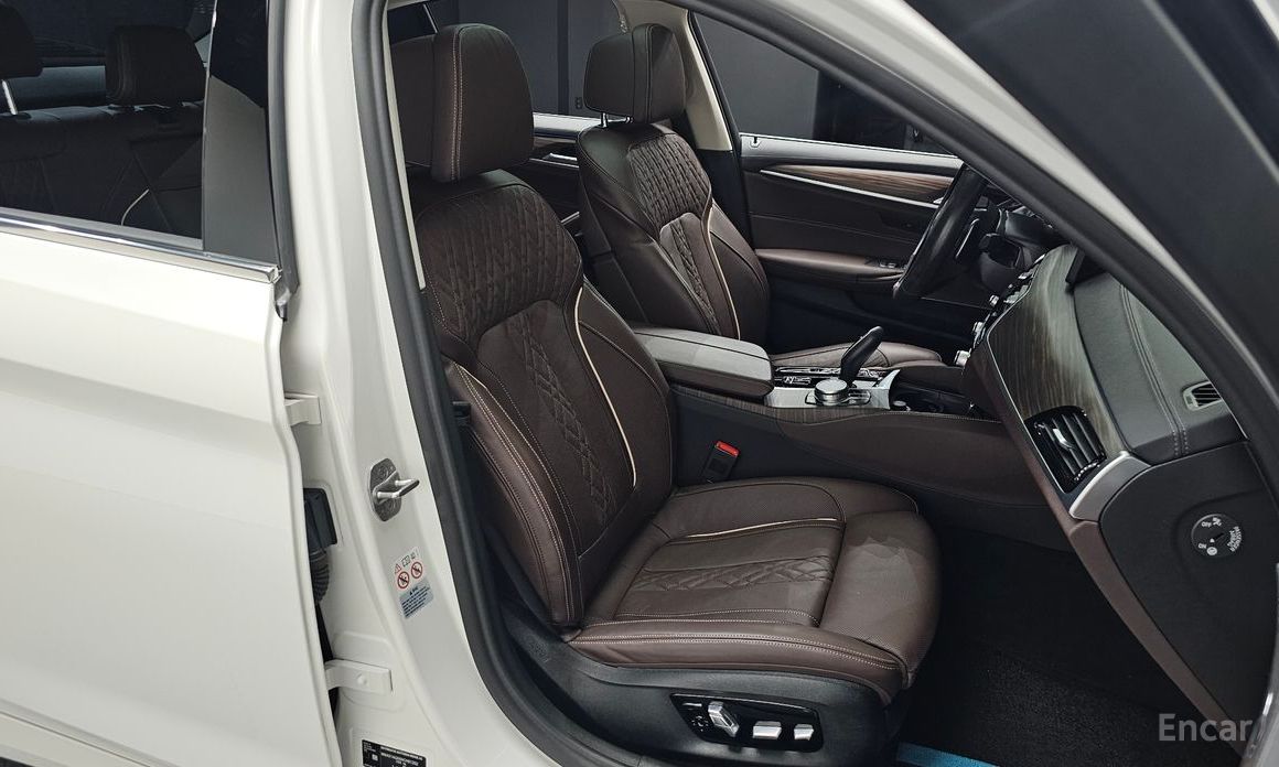 5 Series (G30)530e Luxury 11