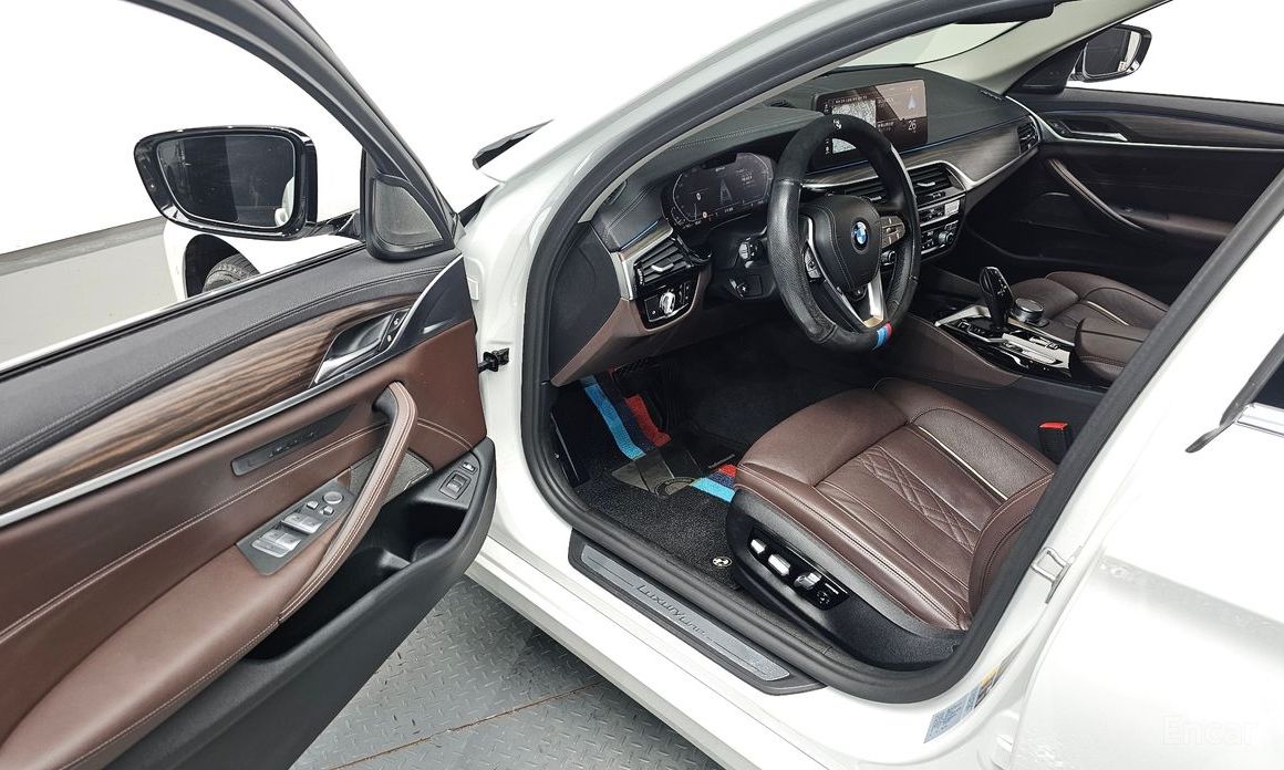 5 Series (G30)530e Luxury 13