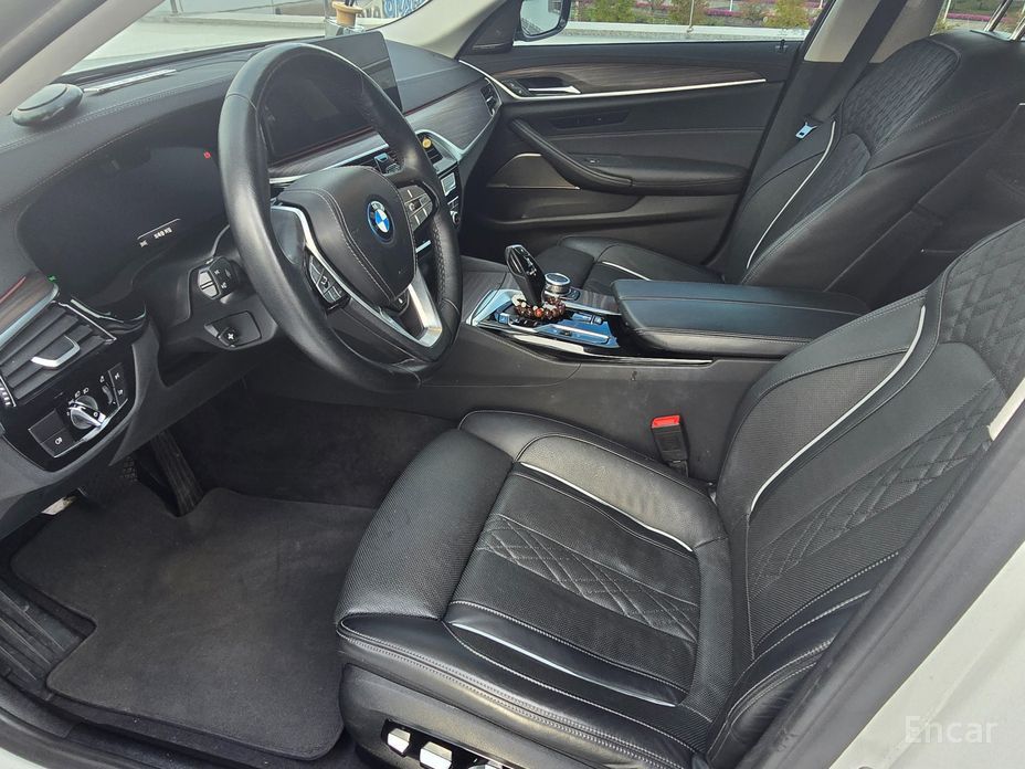 5 Series (G30)530e Luxury 11