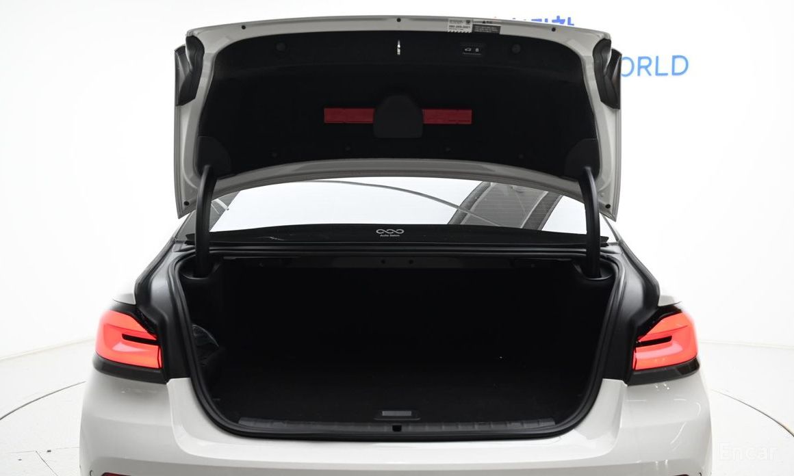 BMW 5 Series (G30)530e Luxury №21