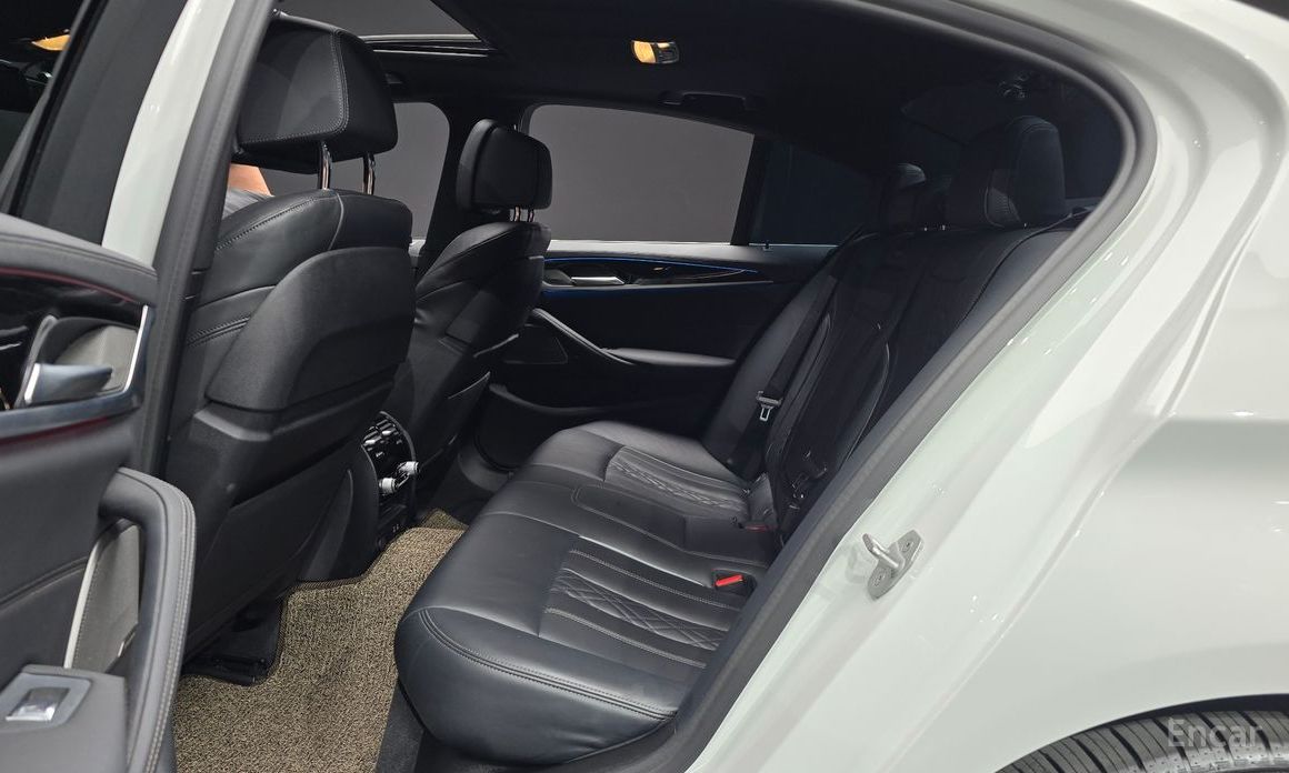 5 Series (G30)530e M Sport 13