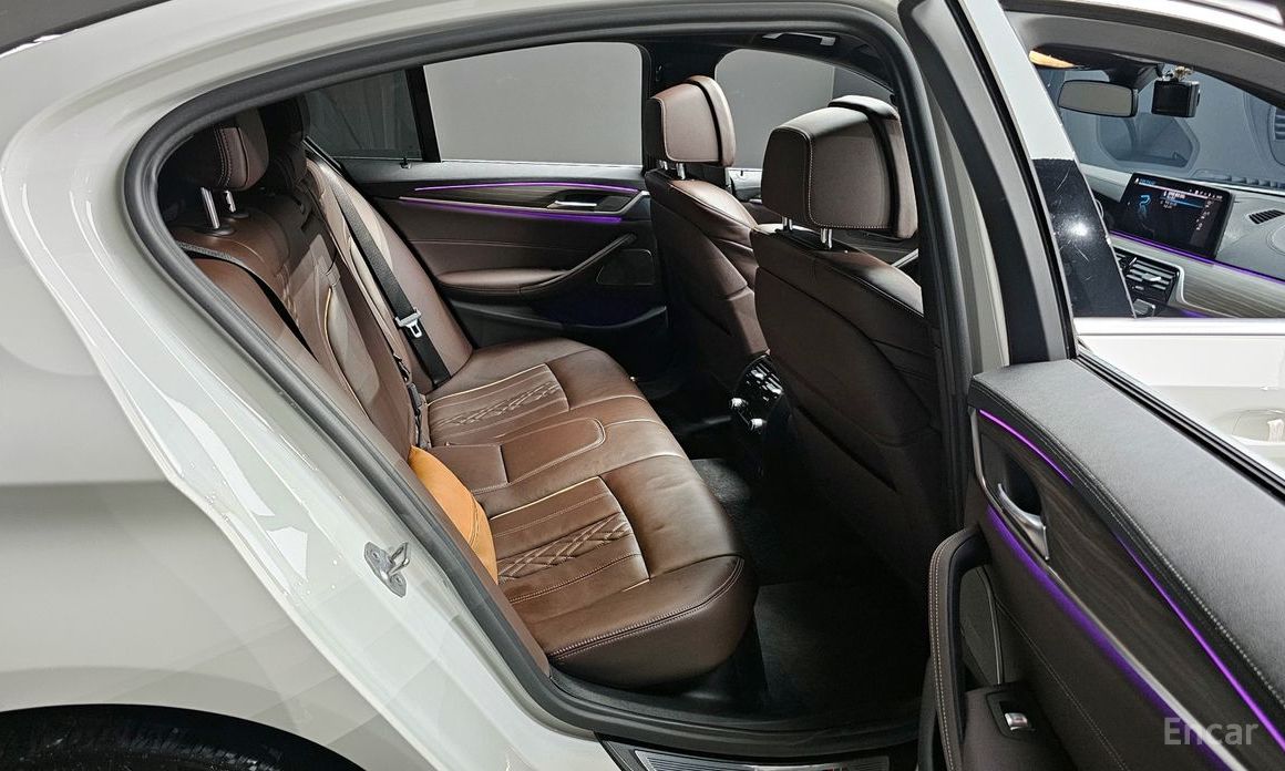 5 Series (G30)530e M Sport 13
