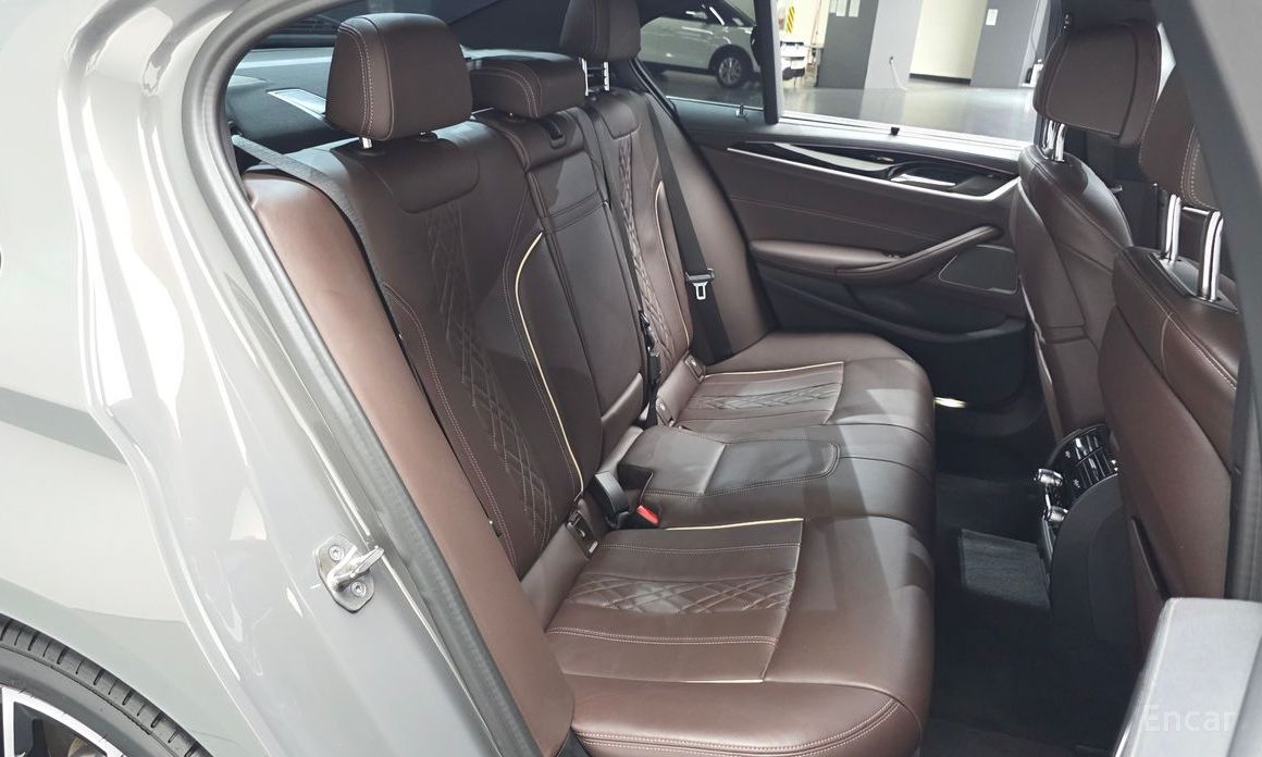 BMW 5 Series (G30)530e M Sport №12
