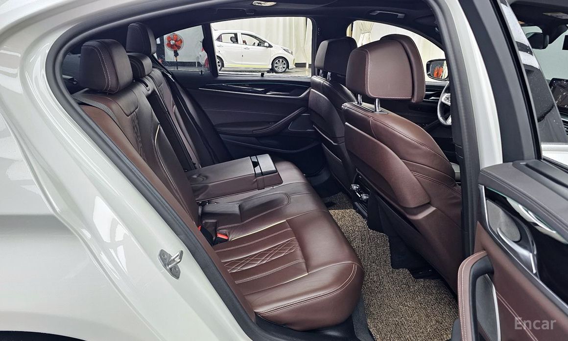 5 Series (G30)530e M Sport 13