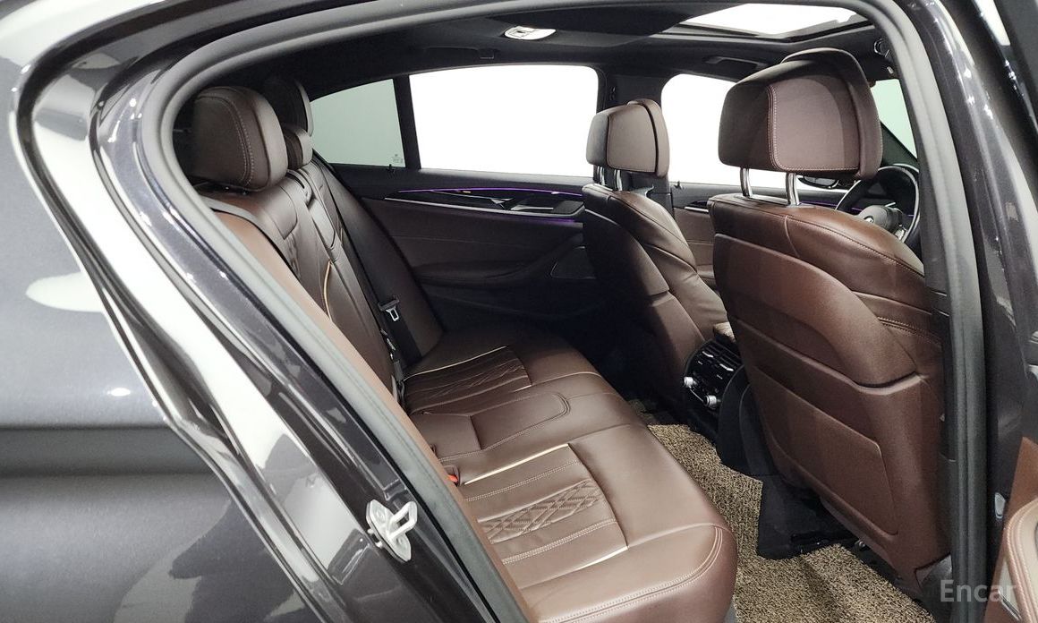 5 Series (G30)530e M Sport 13