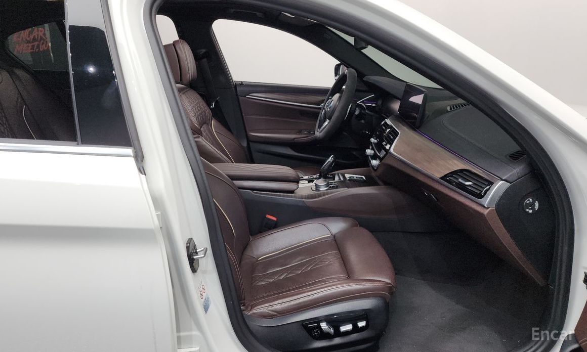 5 Series (G30)530e M Sport 12