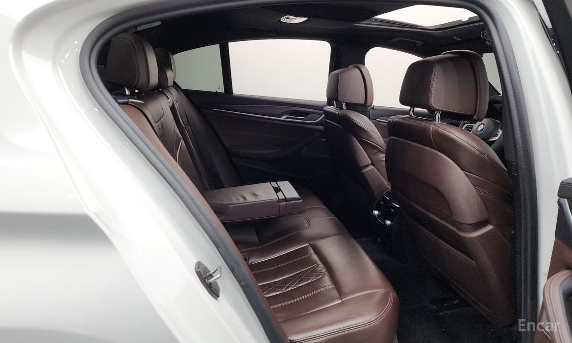 5 Series (G30)530e M Sport 13