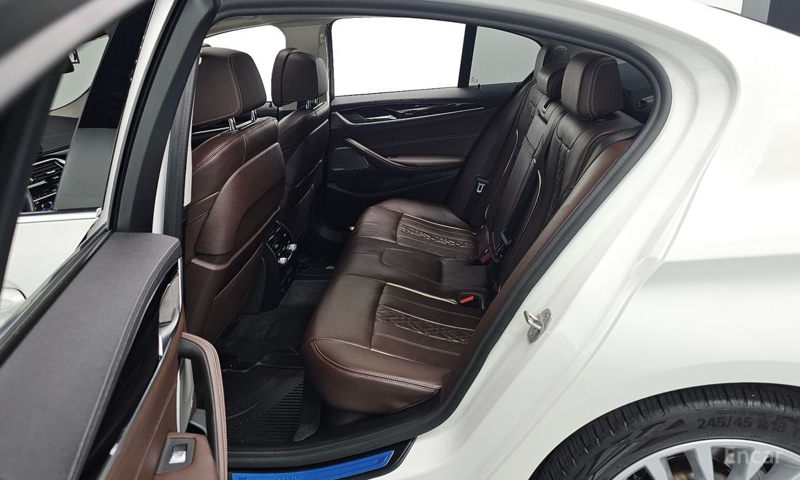 5 Series (G30)530i Luxury 13