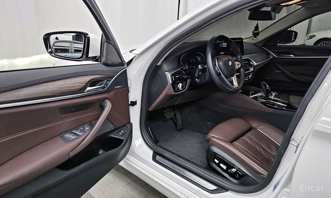 BMW 5 Series (G30)530i Luxury №11