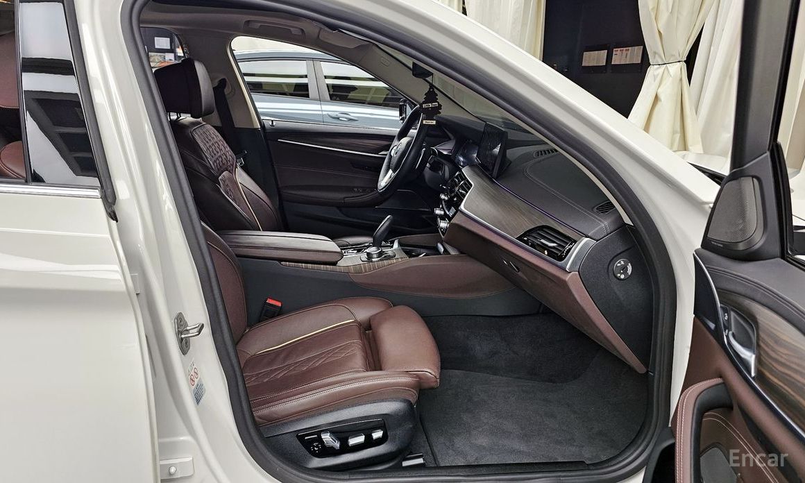 BMW 5 Series (G30)530i Luxury №12