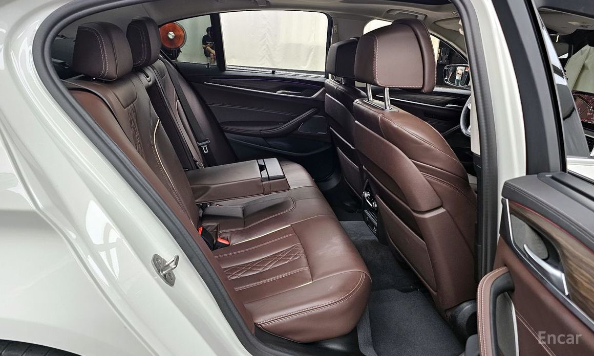 BMW 5 Series (G30)530i Luxury №13