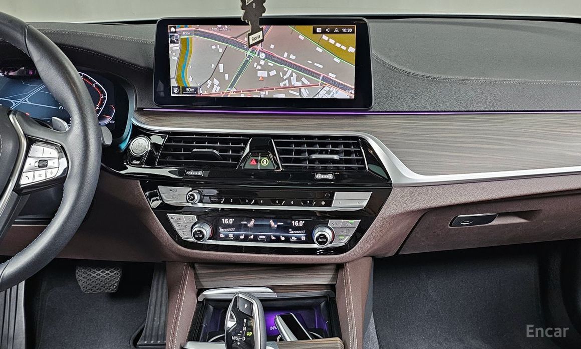 BMW 5 Series (G30)530i Luxury №15