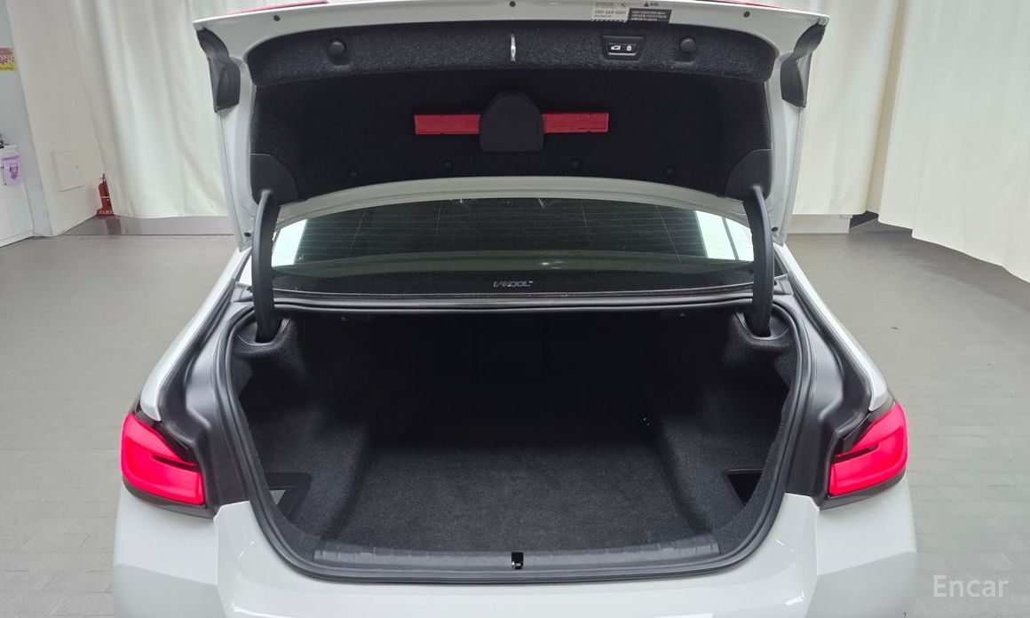 BMW 5 Series (G30)530i M Sport №21