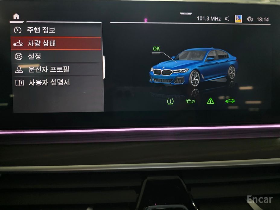 5 Series (G30)530i M Sport 12