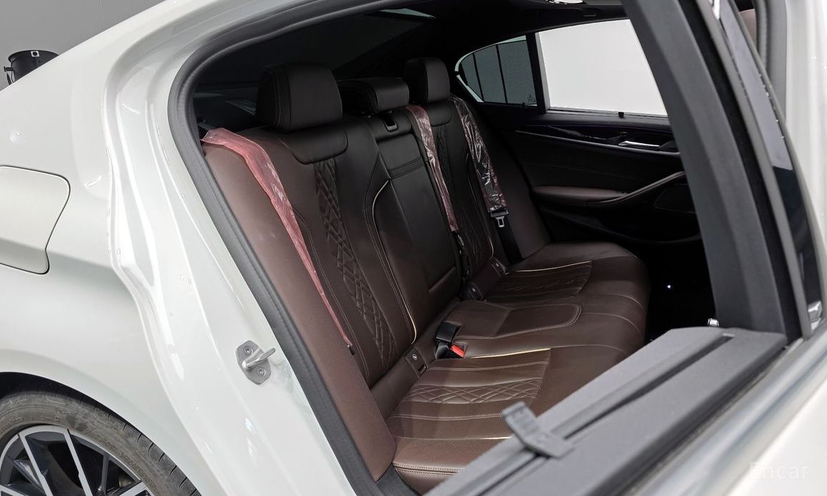 5 Series (G30)530i M Sport 13
