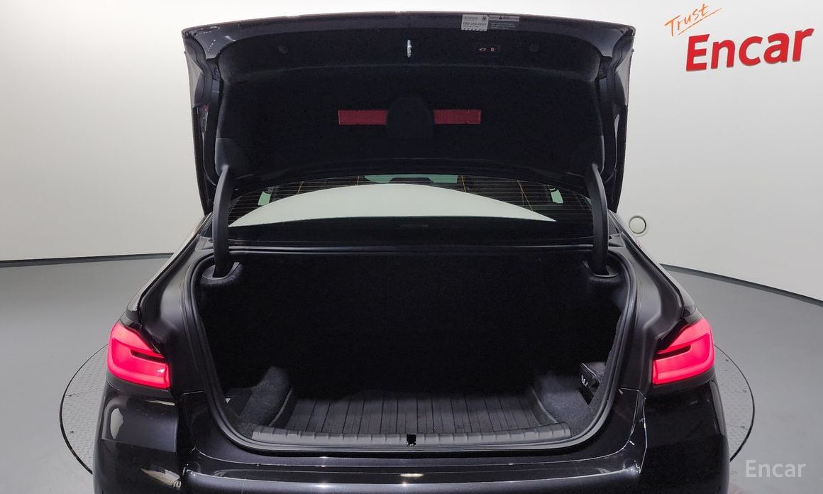 5 Series (G30)530i M Sport 21