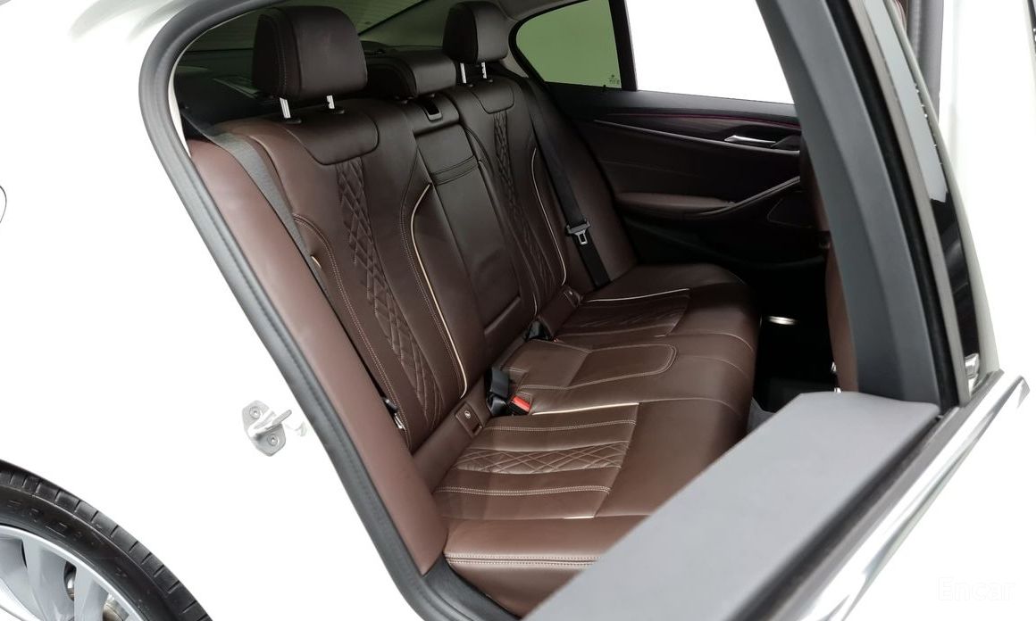 BMW 5 Series (G30)530i xDrive Luxury №13