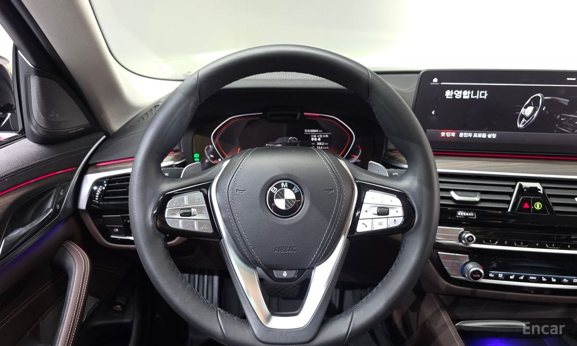 5 Series (G30)530i xDrive Luxury 13
