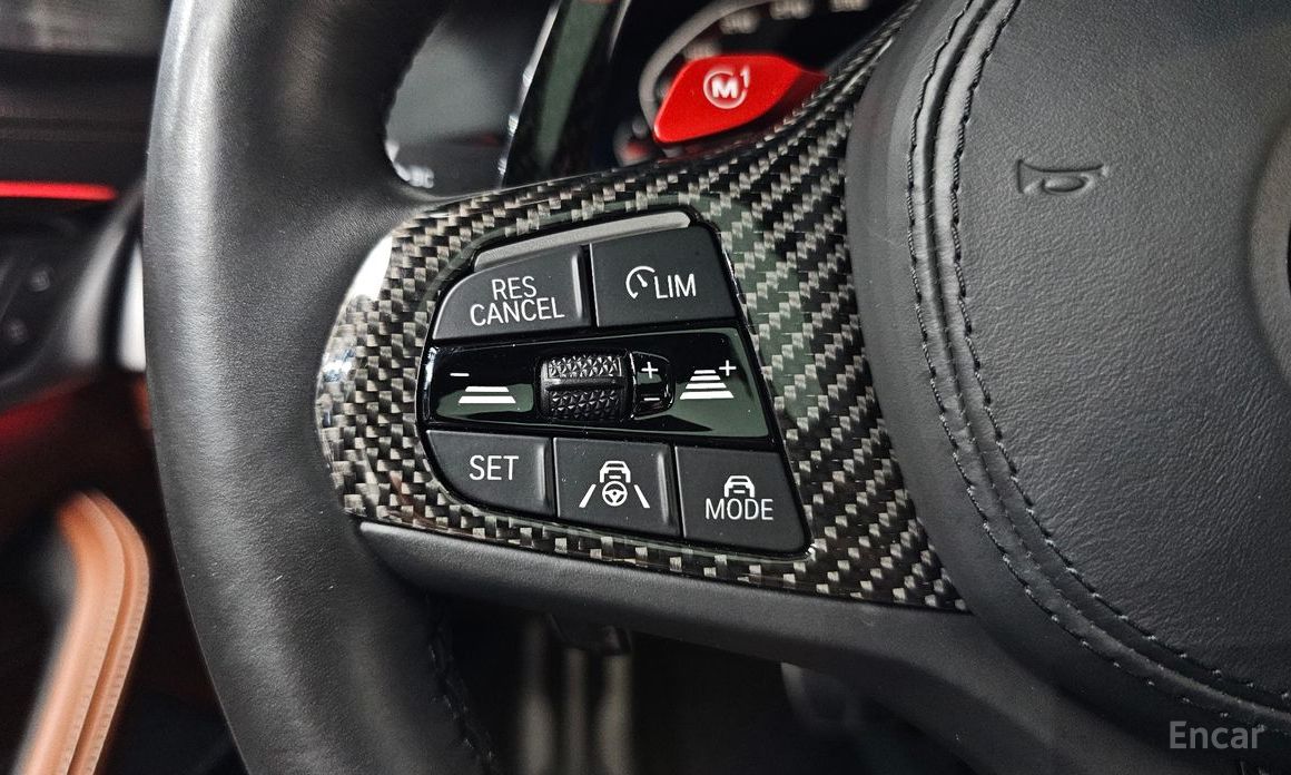 5 Series (G30)M550i xDrive 19