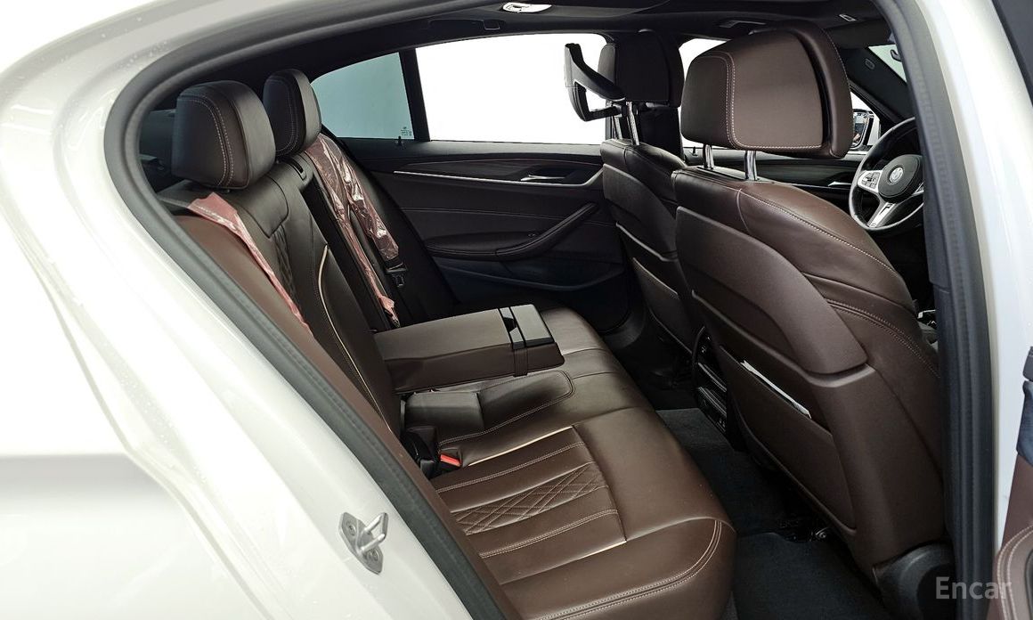 5 Series (G30) 523d M Sport 13