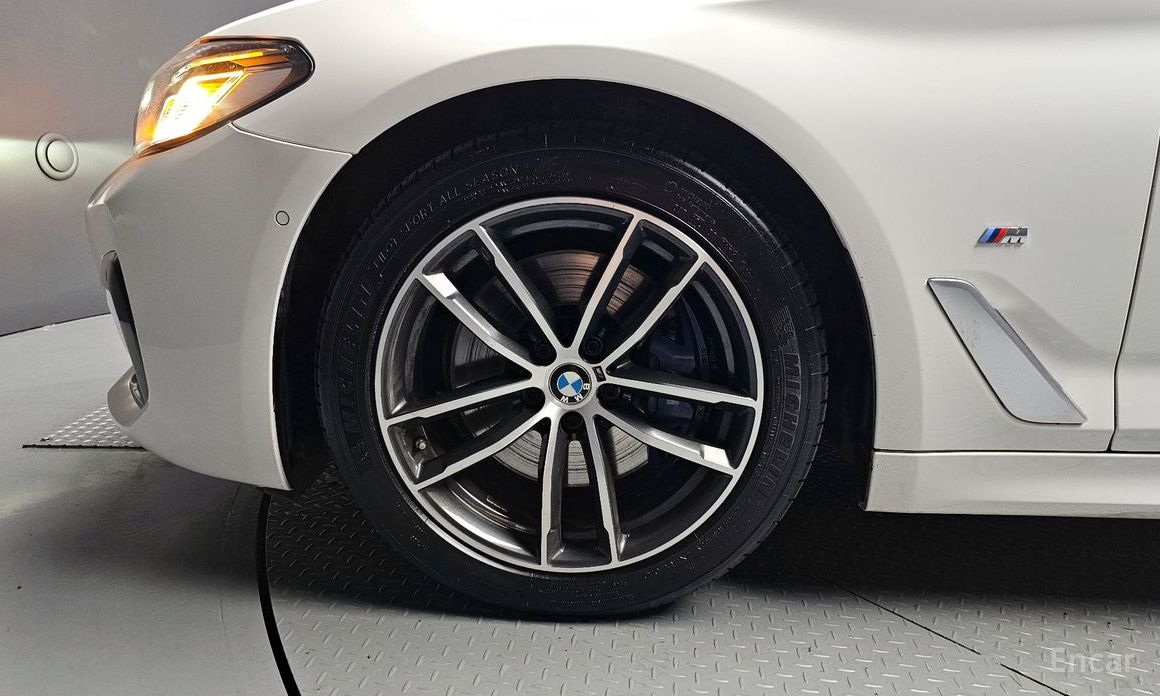 5 Series (G30) 523d M Sport 6