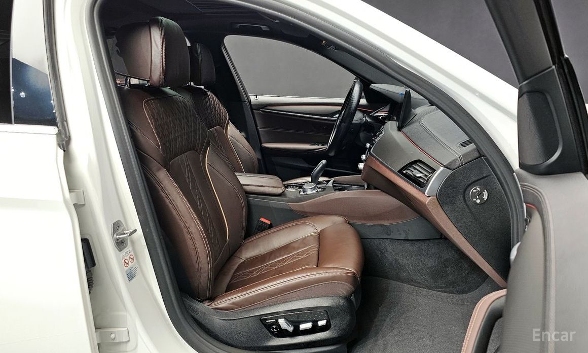 5 Series (G30) 523d M Sport 11