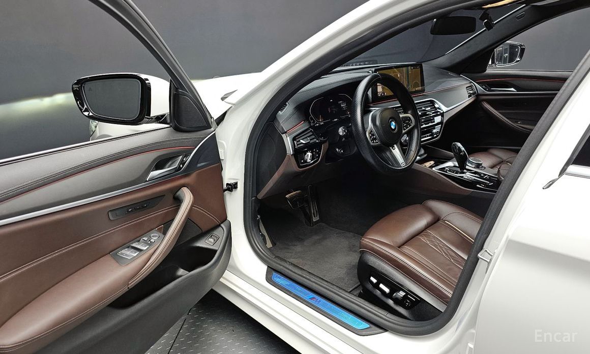 5 Series (G30) 523d M Sport 12