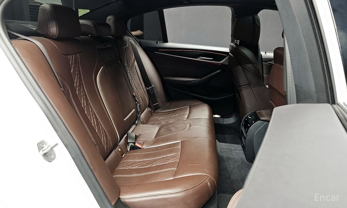 5 Series (G30) 523d M Sport 13