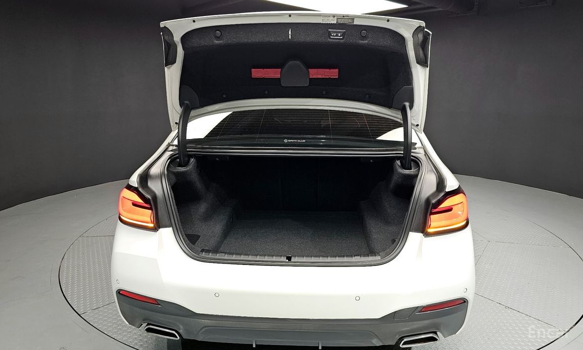 5 Series (G30) 523d M Sport 21