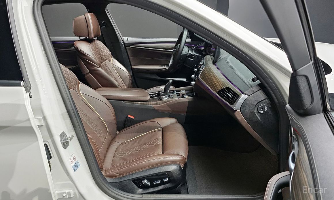 5 Series (G30) 523d M Sport 12