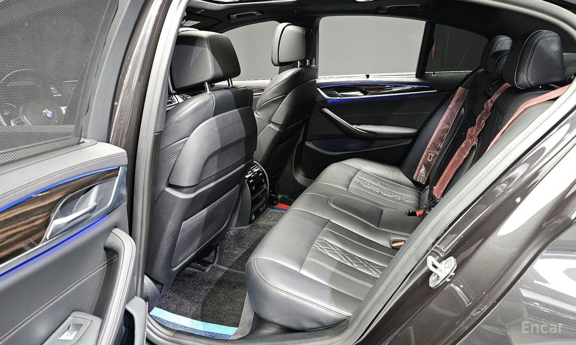 5 Series (G30) 523d M Sport 11