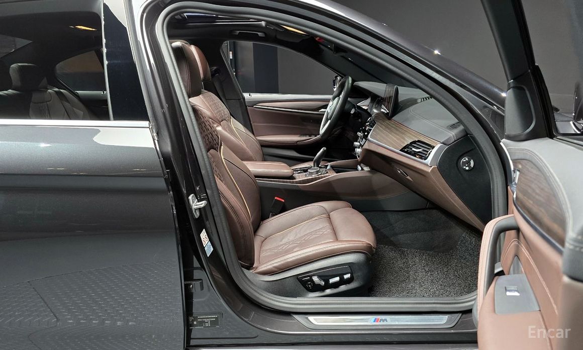 5 Series (G30) 523d M Sport 12