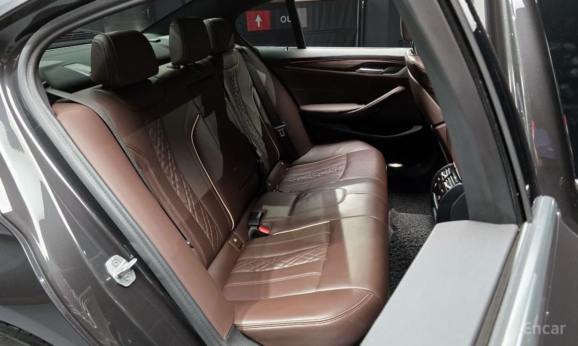 5 Series (G30) 523d M Sport 13