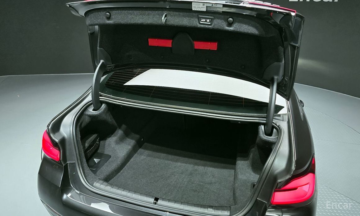 5 Series (G30) 523d M Sport 21