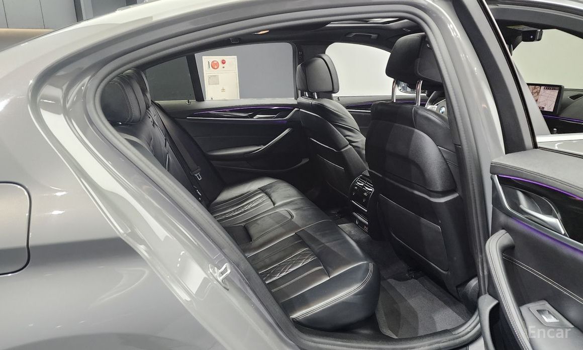 5 Series (G30) 523d M Sport 13