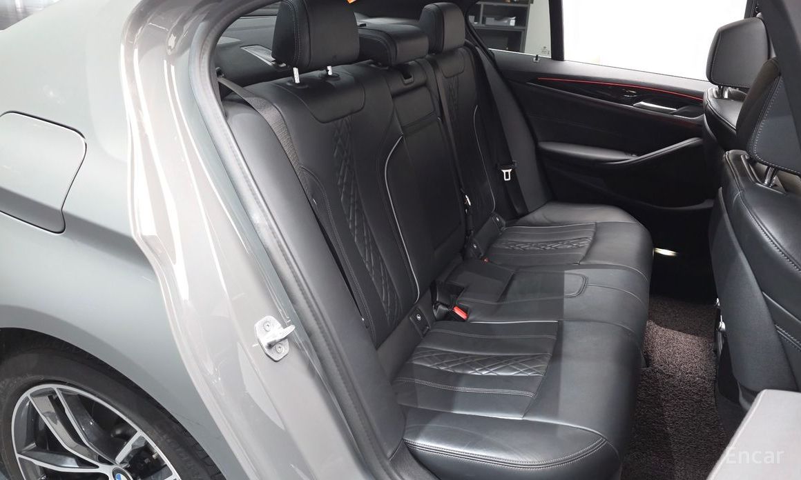 5 Series (G30) 523d M Sport 11