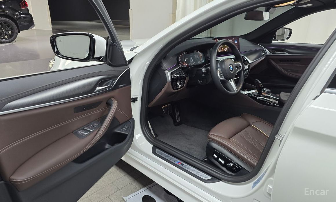 5 Series (G30) 523d xDrive M Sport 11