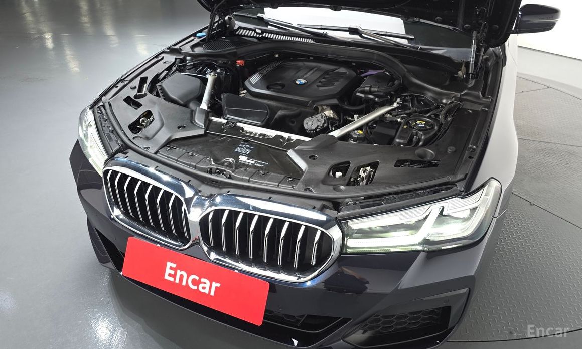 5 Series (G30) 523d xDrive M Sport 6