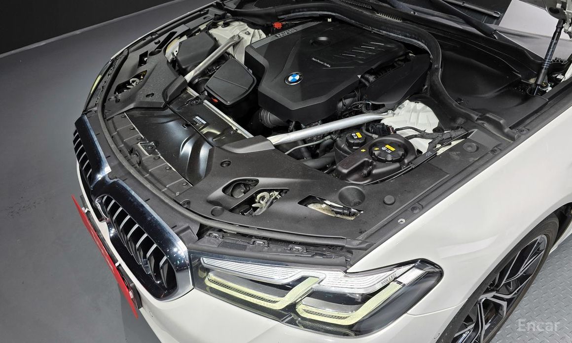5 Series (G30) 530i xDrive M Sport 7
