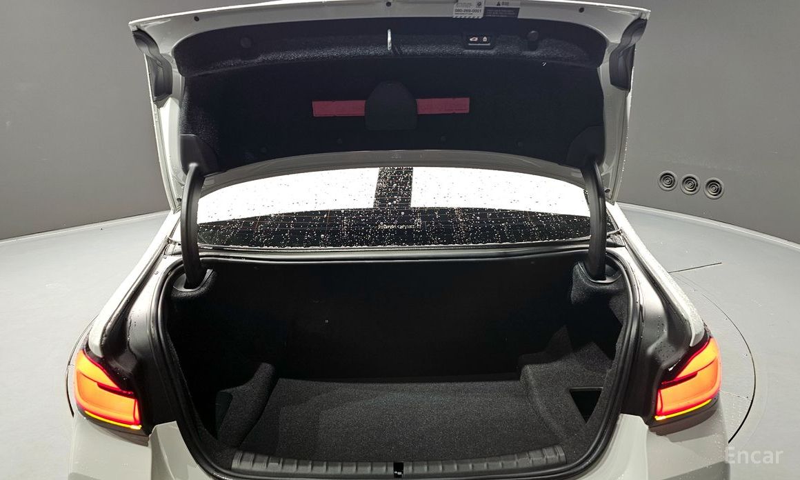 5 Series (G30) 530i xDrive M Sport 21