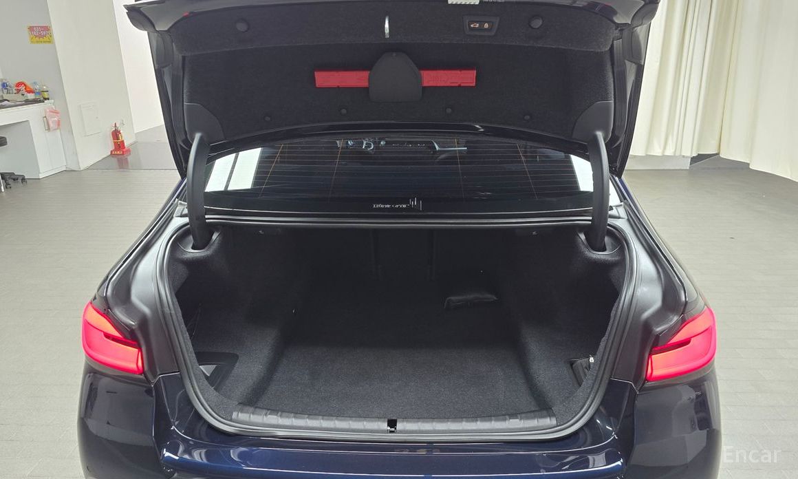 5 Series (G30) 530i xDrive M Sport 21