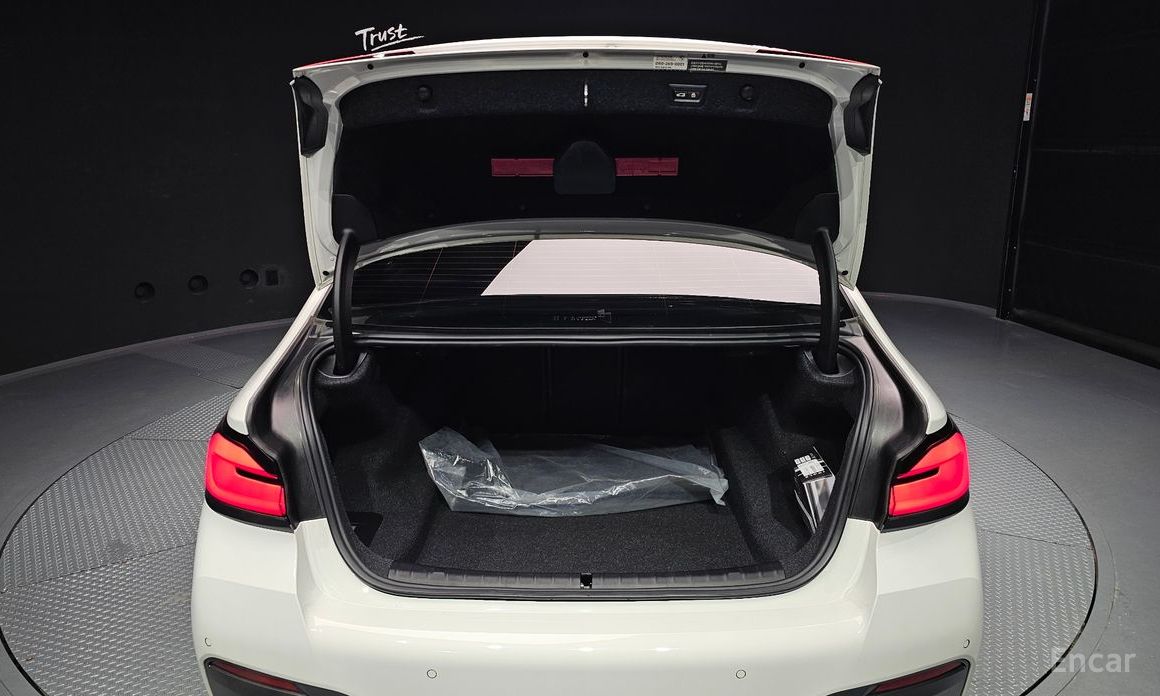 5 Series (G30) 530i xDrive M Sport 21