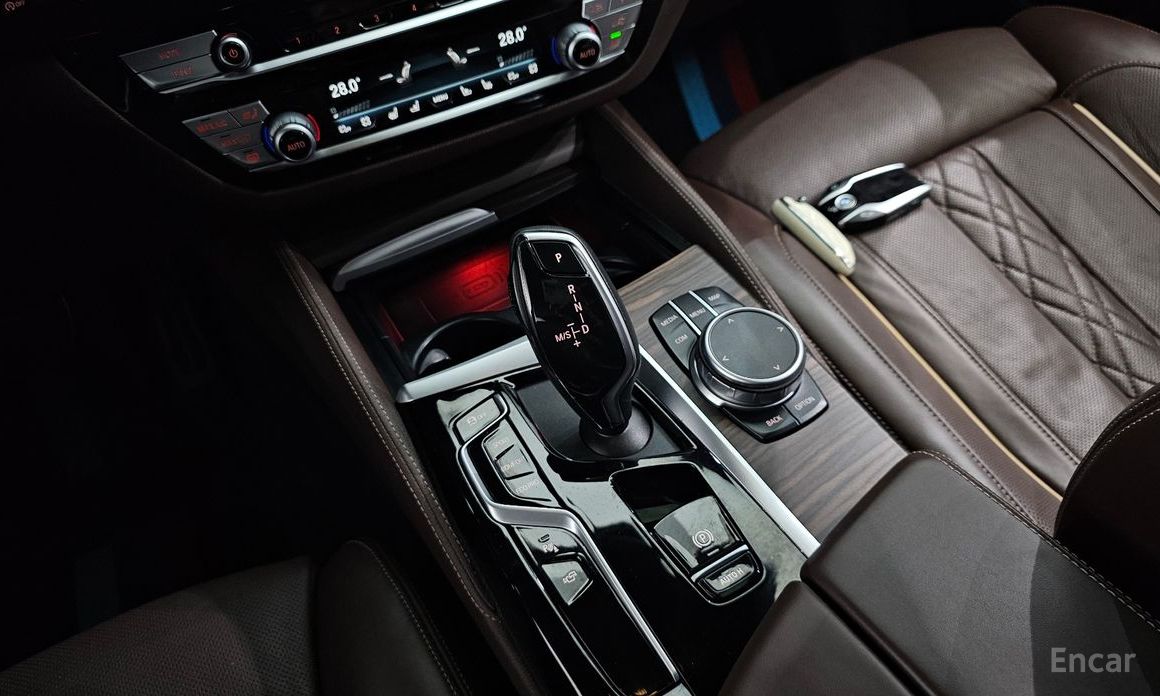5 Series (G30) 530i xDrive M Sport 10