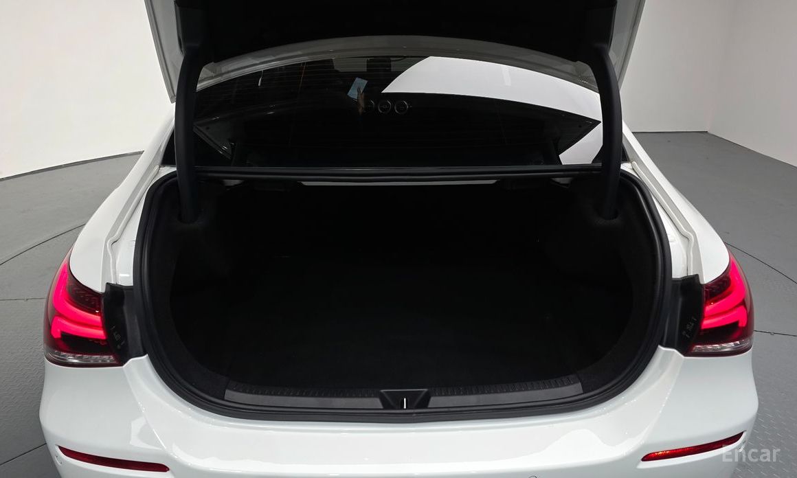 Mercedes-Benz A-Class W177A220 SEDAN №21