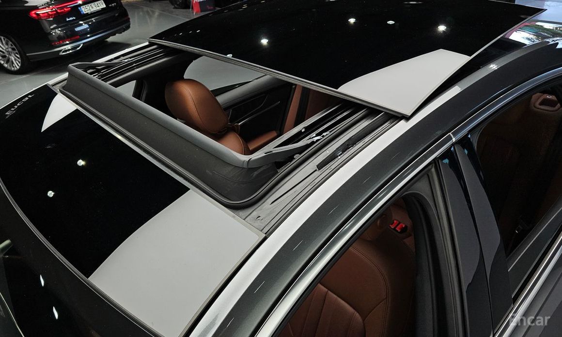 A6 (C8)45 TFSI Premium 19