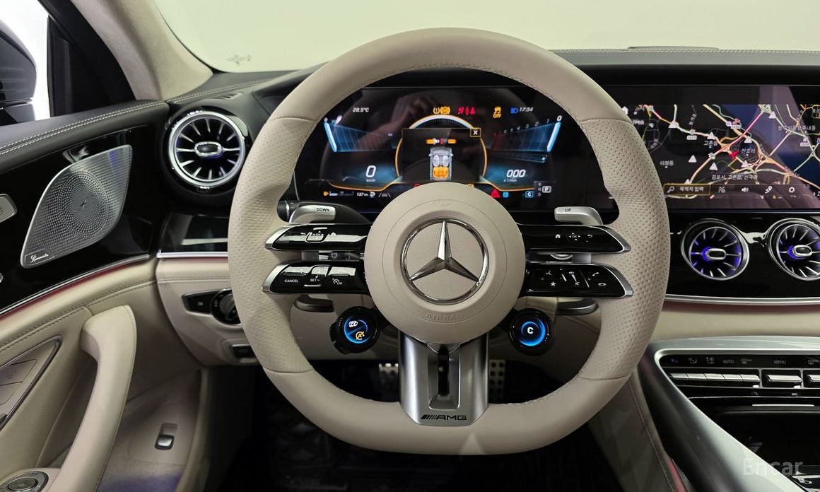 Mercedes-Benz AMG GT4 DOOR 43 4MATIC+ №14