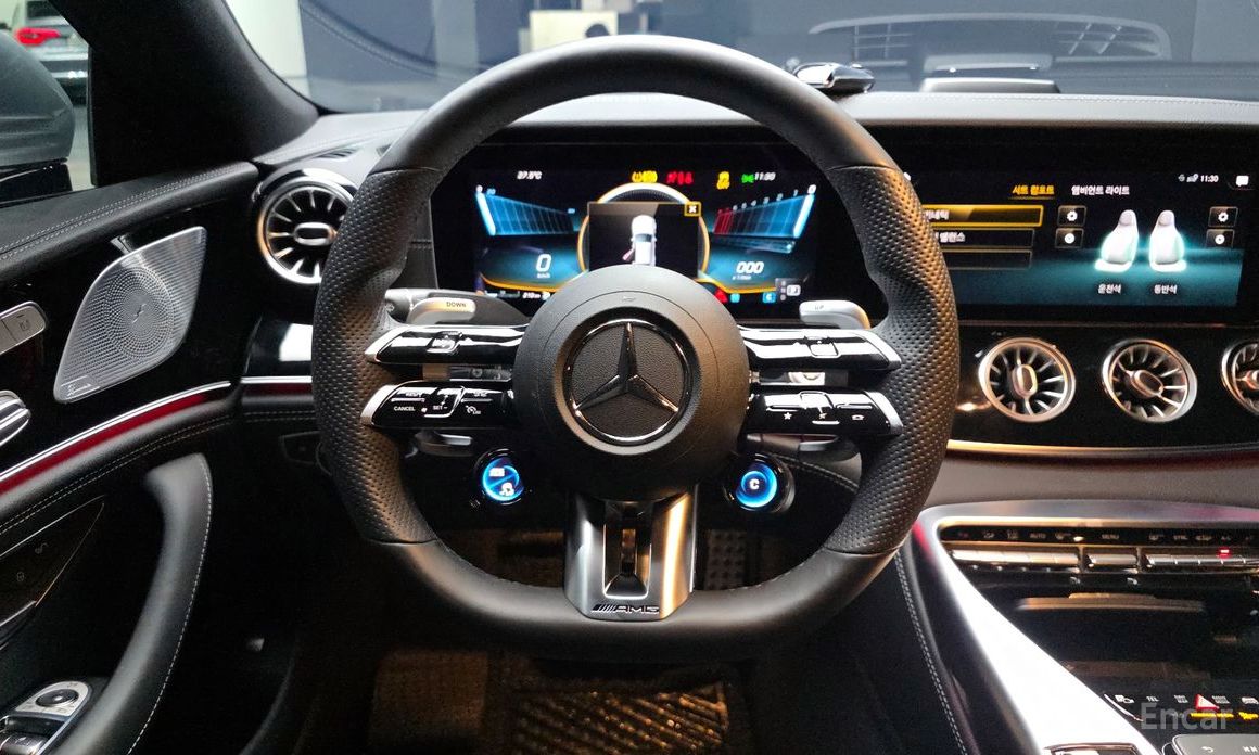 AMG AMG GT4 DOOR 43 4MATIC+ №14