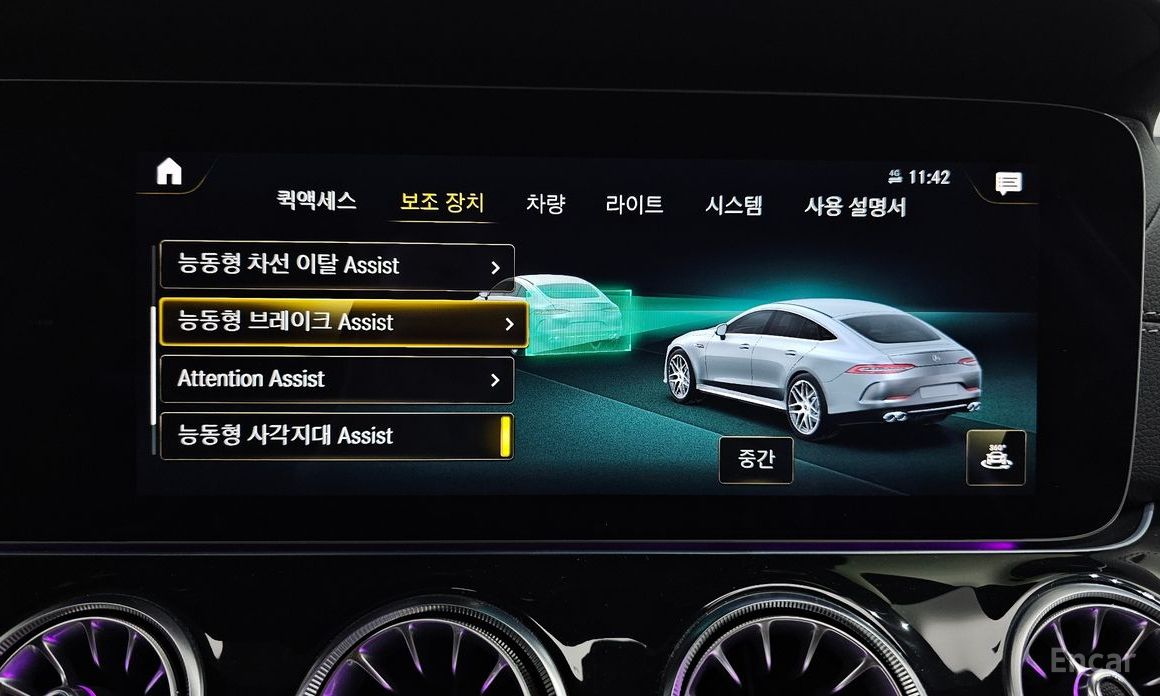 AMG AMG GT4 DOOR 43 4MATIC+ №17