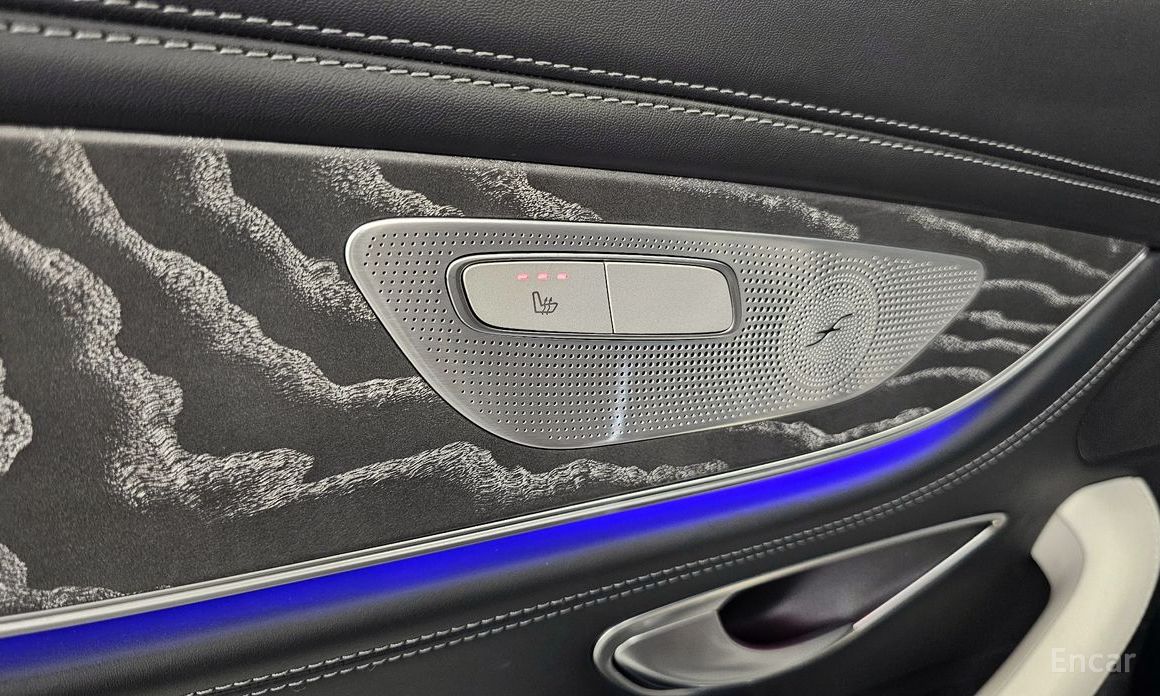 AMG GT4 Door 43 4MATIC+ Special Edition 19