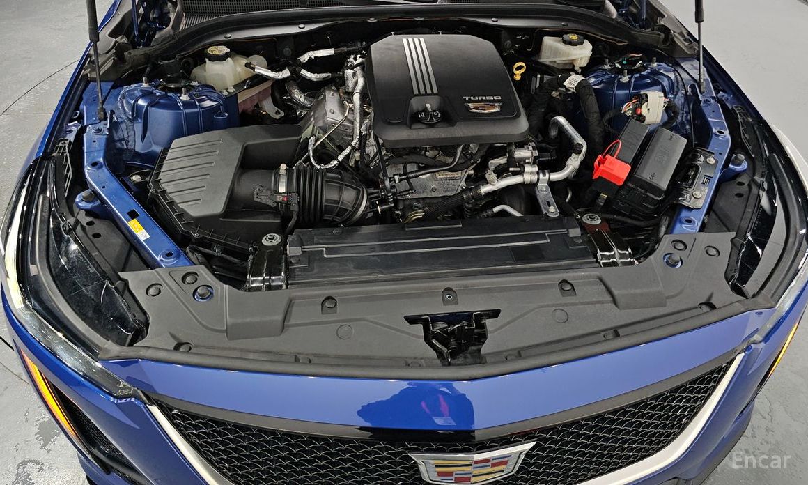 CT52. 0 Sports 7
